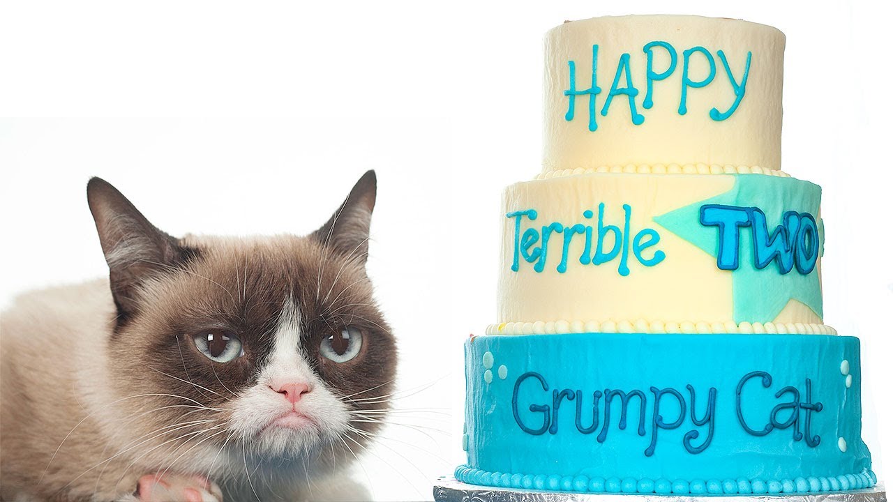 Friskies  Happy Birthday Grumpy Cat  Truth In Advertising