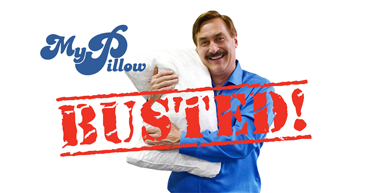 A best sale my pillow