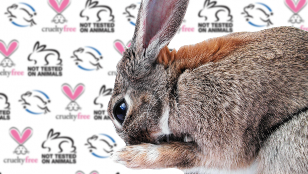 Decoding Cosmetics Claims Not Tested On Animals Cruelty Free Truth In Advertising