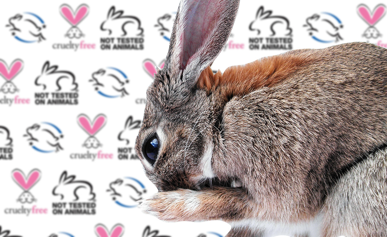 Decoding Cosmetics Claims: 'Not Tested on Animals,' 'Cruelty Free' - Truth  in Advertising