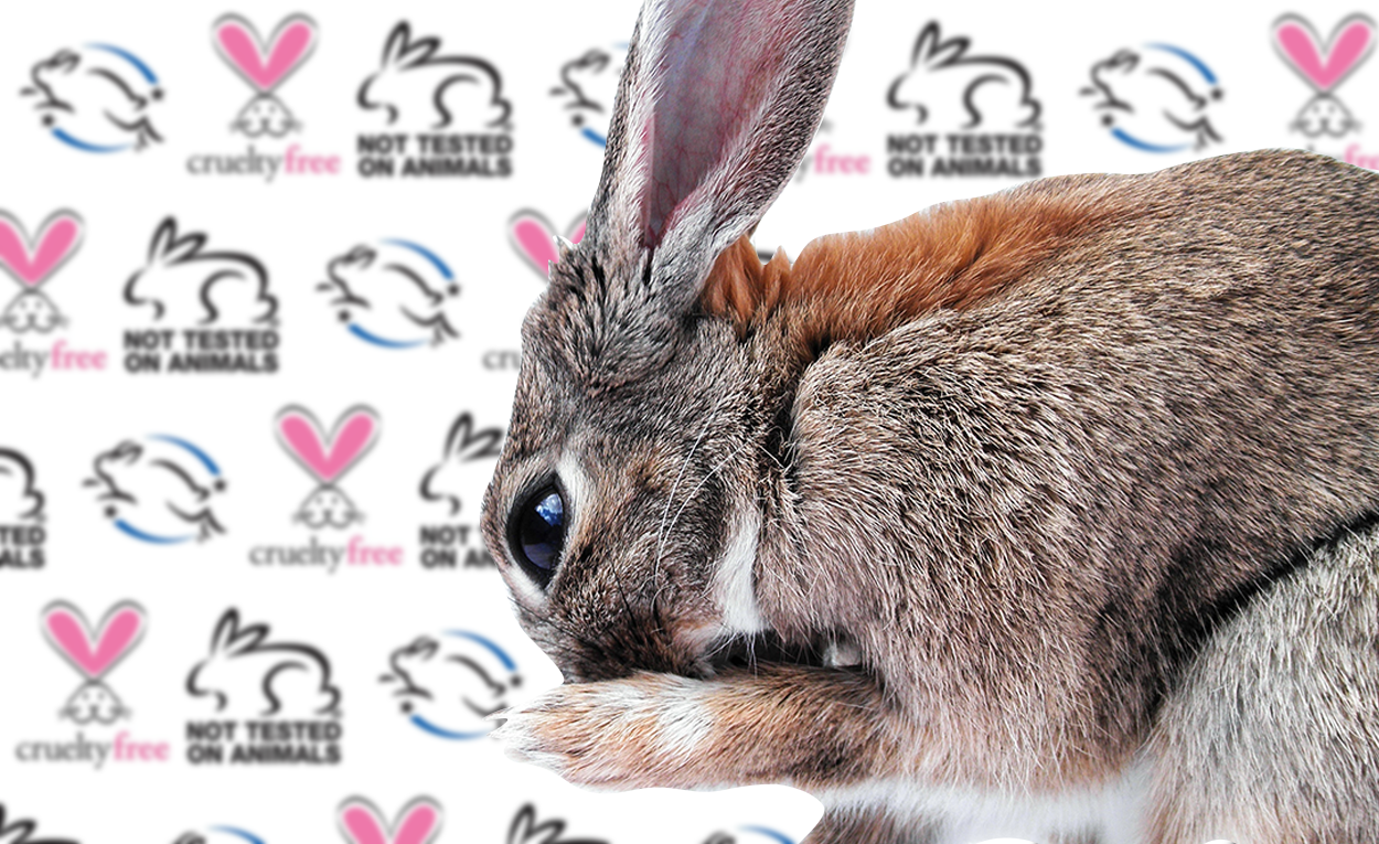 Decoding Cosmetics Claims: 'Not Tested on Animals,' 'Cruelty Free