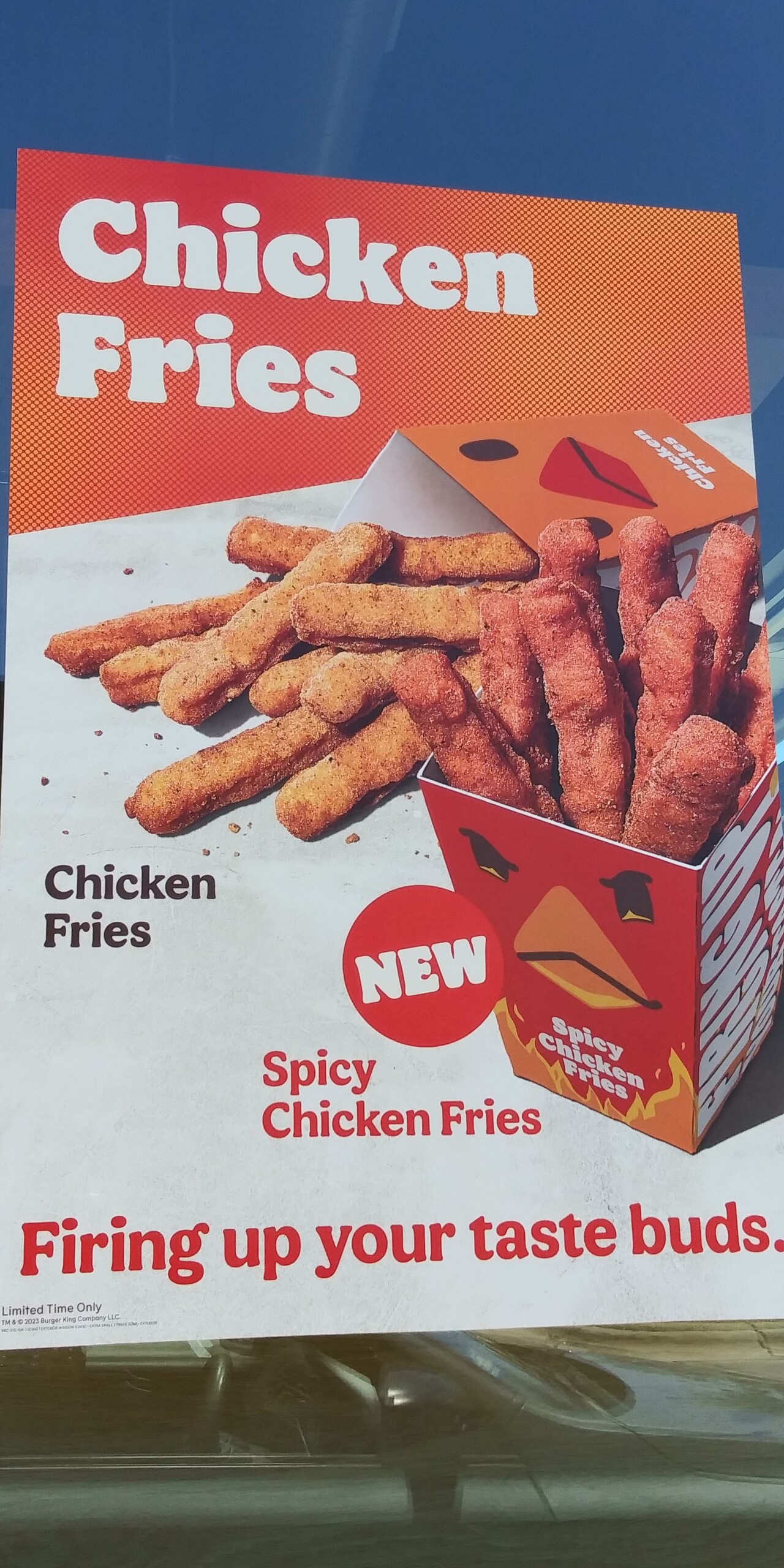 Burger King Spicy Chicken Fries Truth In Advertising 