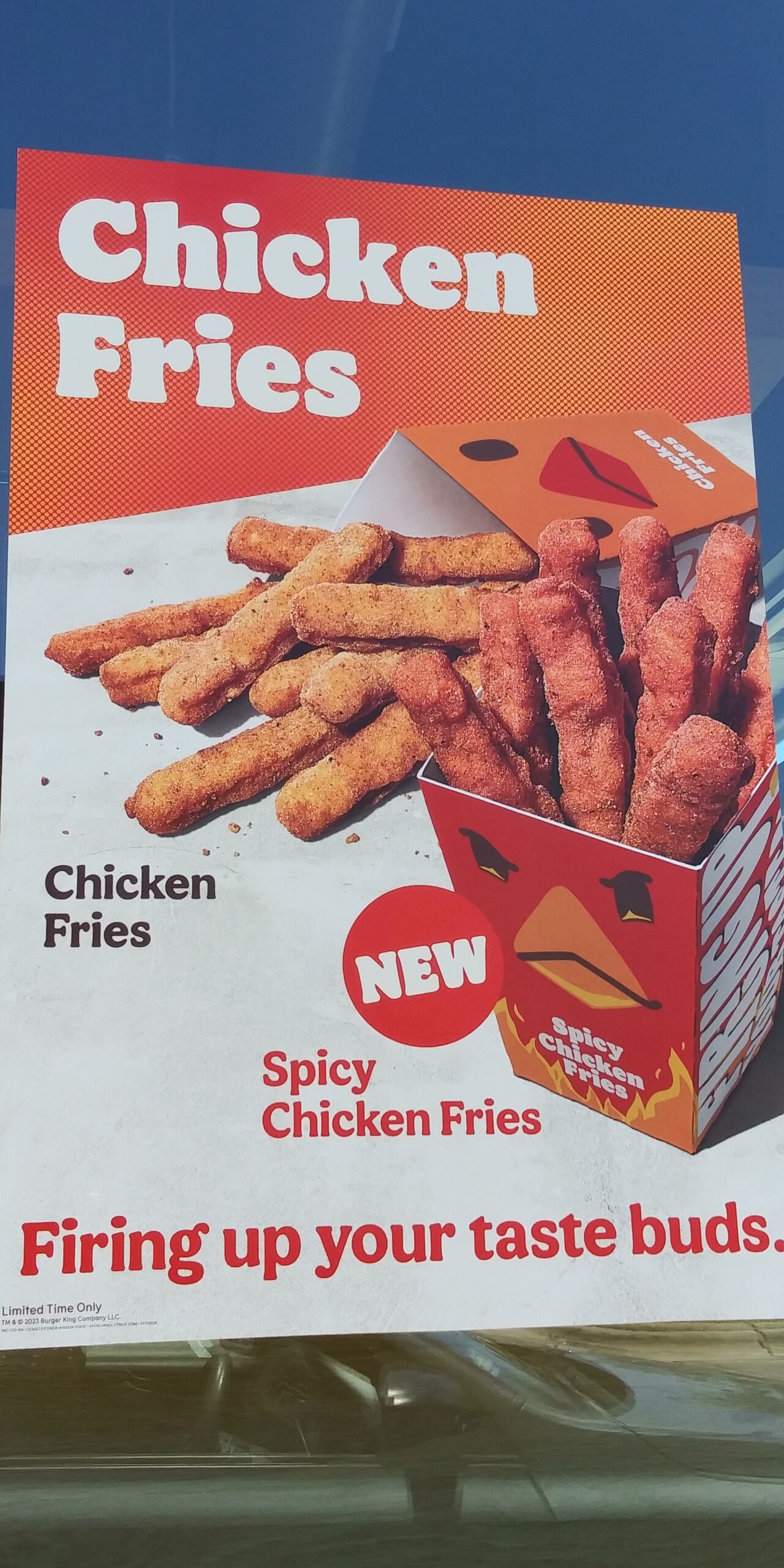 burger-king-spicy-chicken-fries-truth-in-advertising